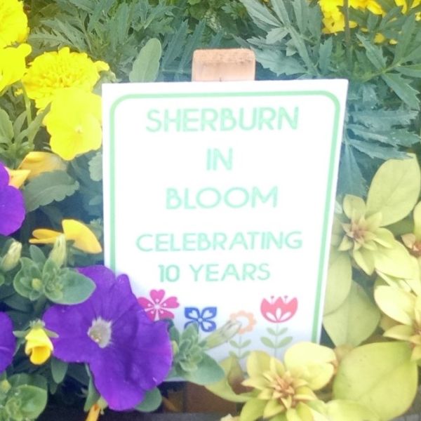 Sherburn in Bloom