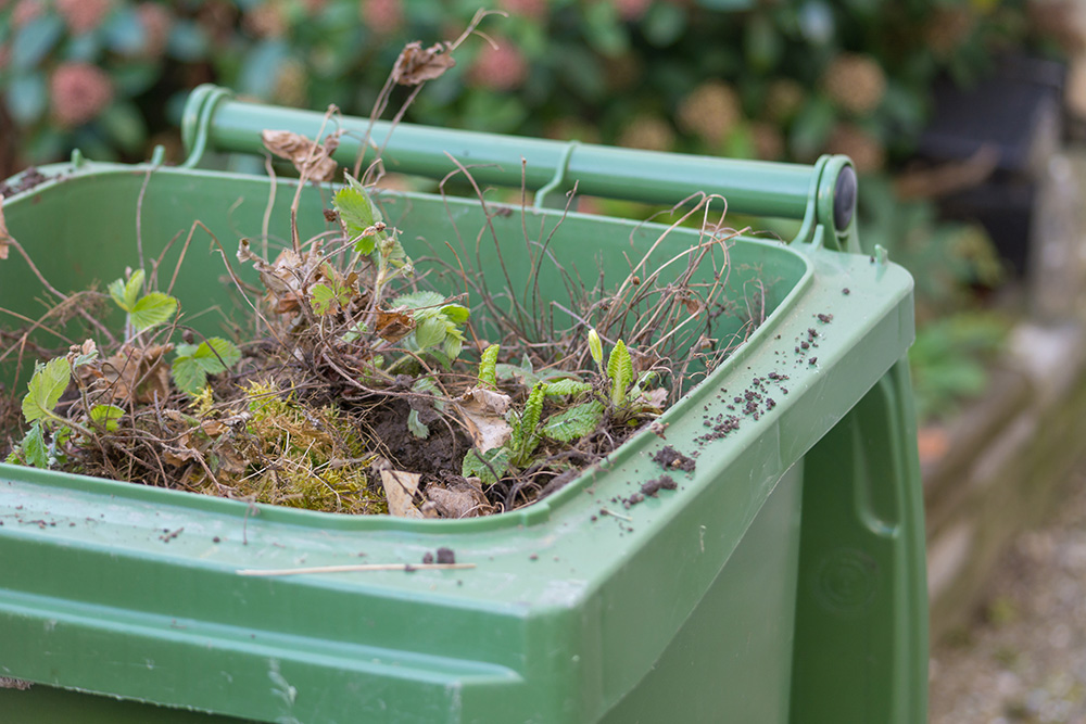 Subscriptions open for new garden waste service in Selby area