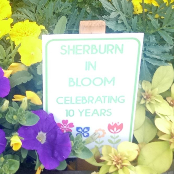 Sherburn in Bloom