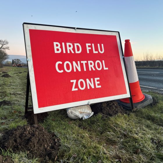 Bird owners urged to help prevent spread of avian influenza