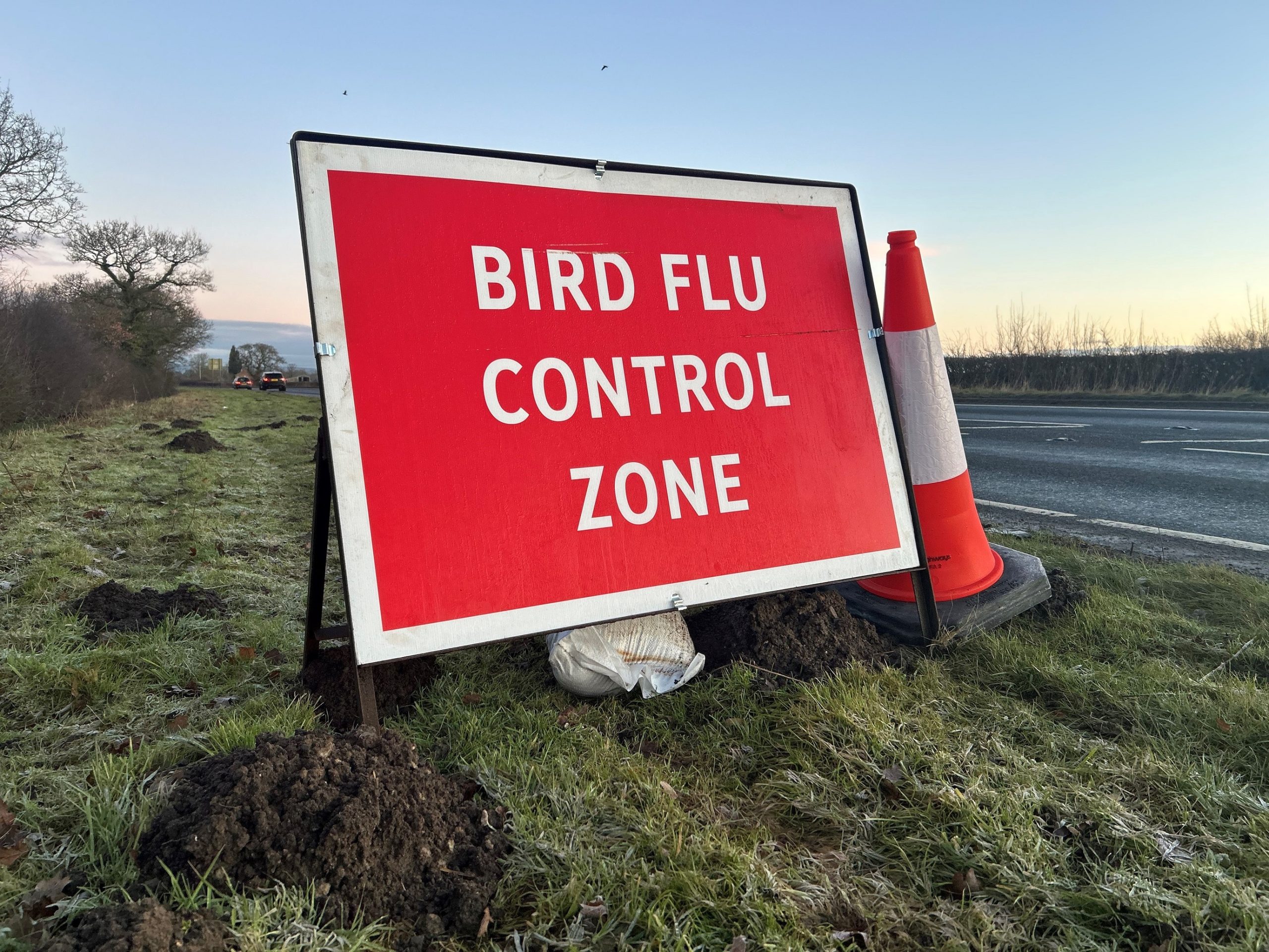 Bird owners urged to help prevent spread of avian influenza